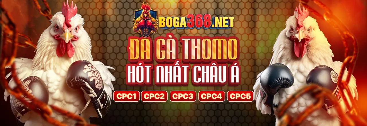 Tổng quan các chương trình khuyến mãi S6666